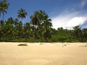 Praia Concha