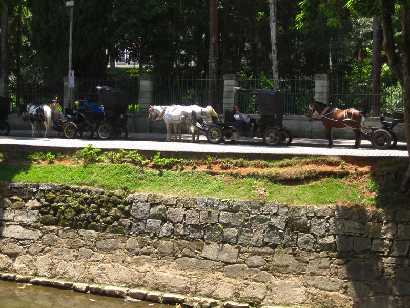 Petropolis Horse and Carraige