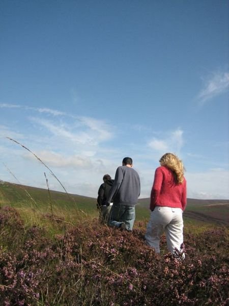 Tramping through the heather