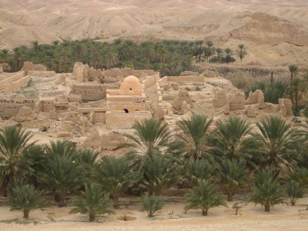 Desert oasis, Tunisia