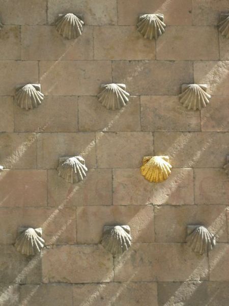 Wall detail, Salamanca