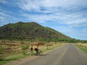 The road to Mozambique