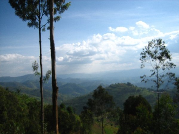 Somewhere else in Rwanda.
