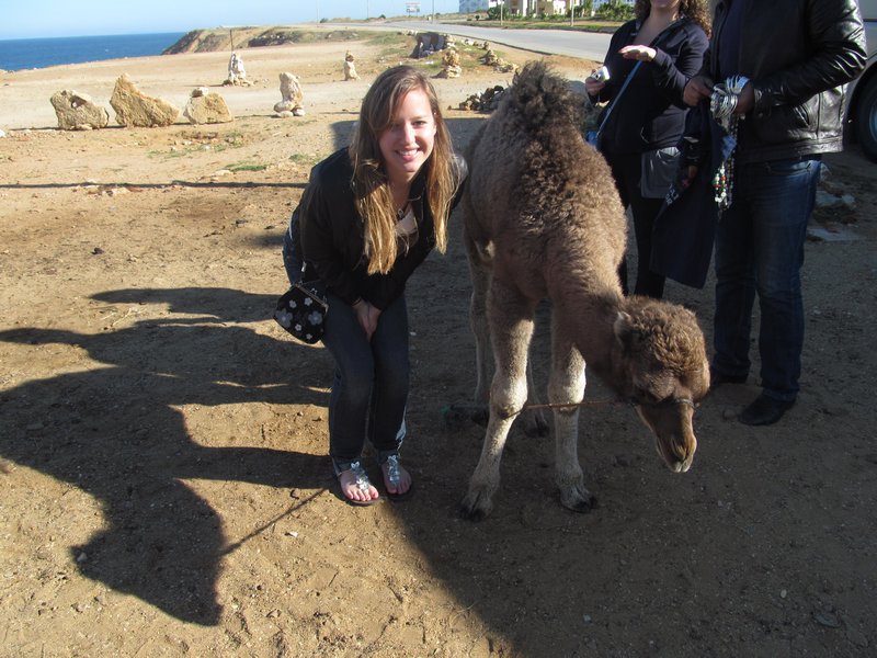 Me with a baby camel.
