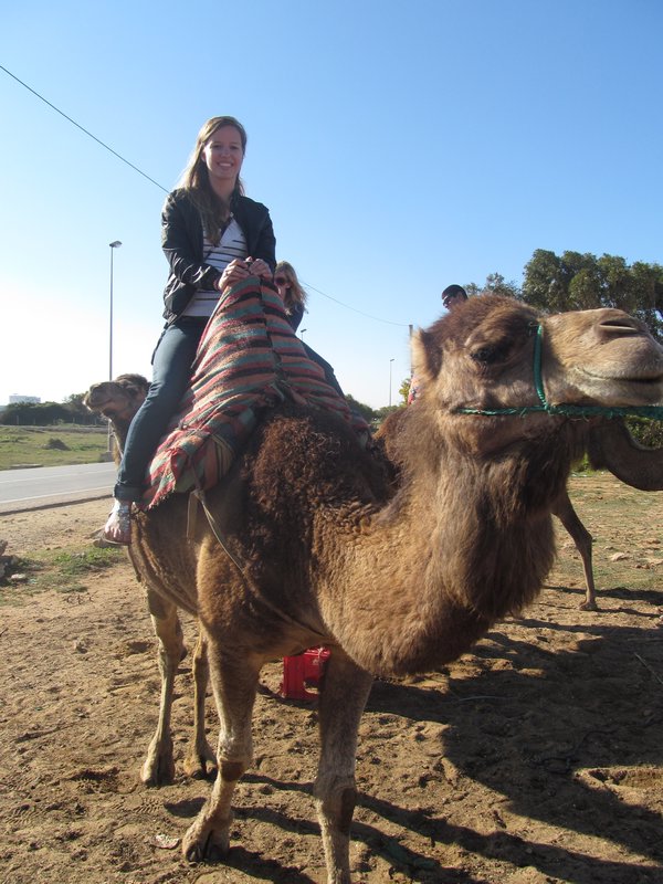 Camel riding in Morocco!