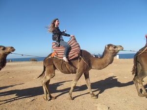 Me on a camel!
