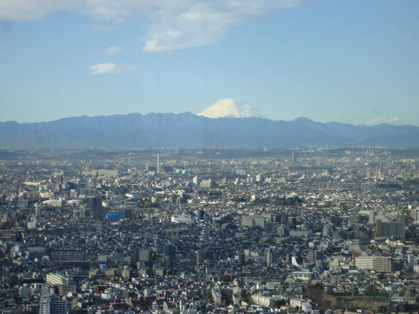 Fuji on the horizon
