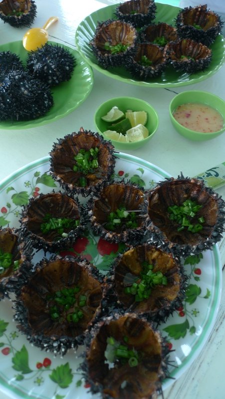 One of the guides on the boat collected these sea urchins from the reefs.  They kill the coral, so every time they take divers out they collect as many as they can for lunch.