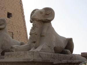Ram Head Sphinx