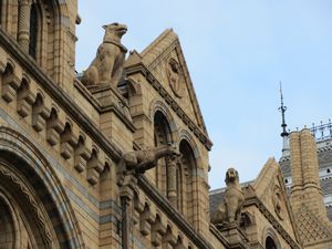 Gargoyles on the Natural history Museum