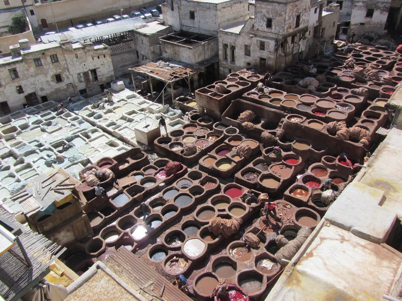 Dying Pools on the Tannery