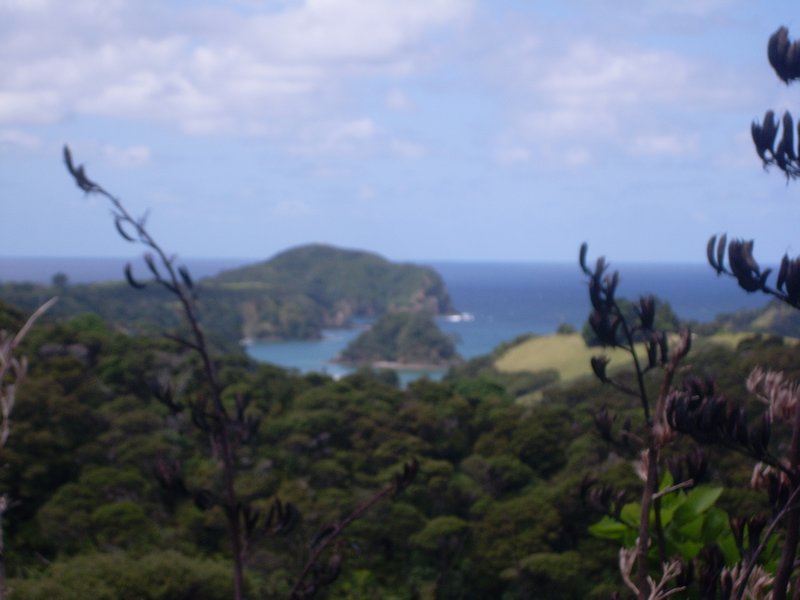 Matapouri