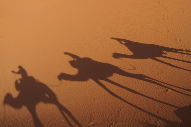 The shadows cast over the sand in the early morning ride back to the hotel on camels