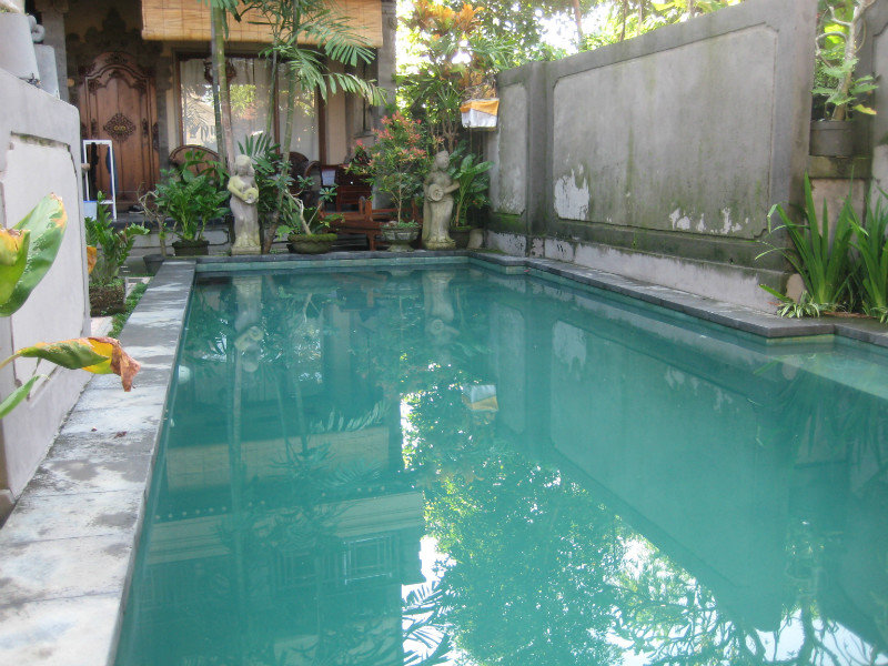 Rumah Rodda swimming pool