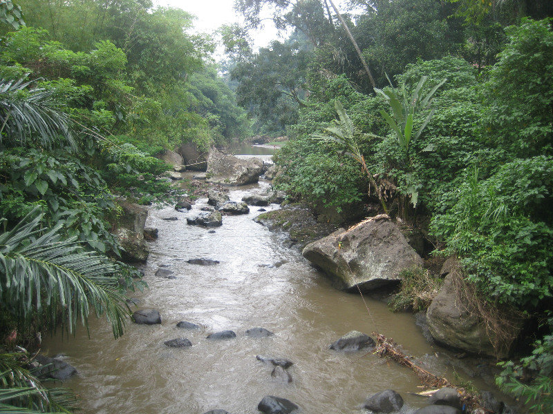 Ayung River