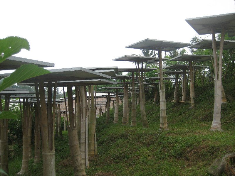 Solar panels -Green School