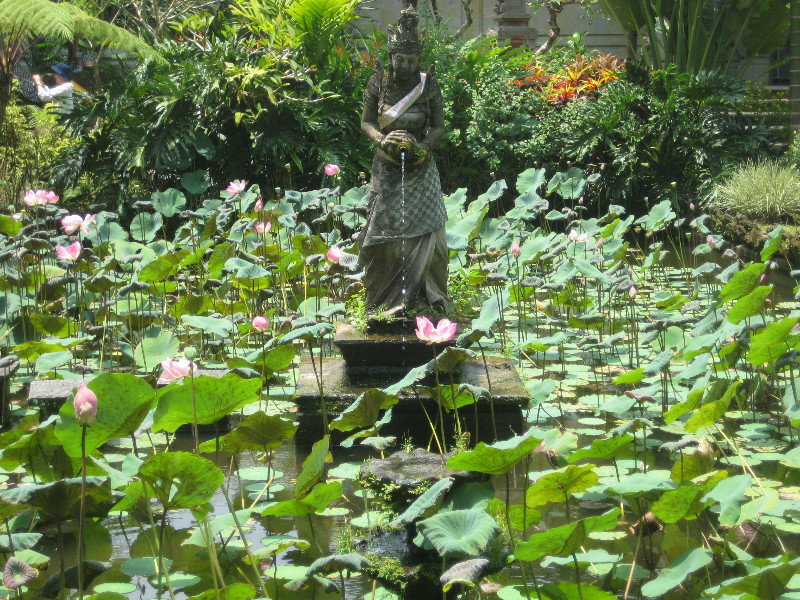 Lotus Pond with statue