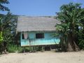 Typical house in village along Amazon.