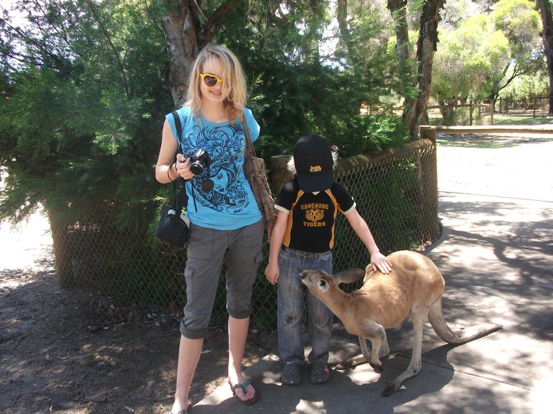 Meeting the locals 1 - roos