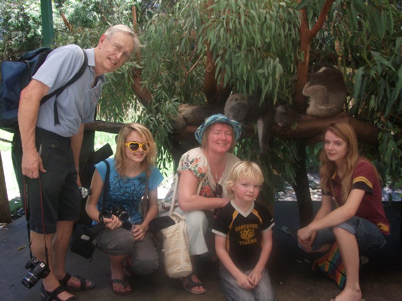 Meeting the locals 2 - Koalas