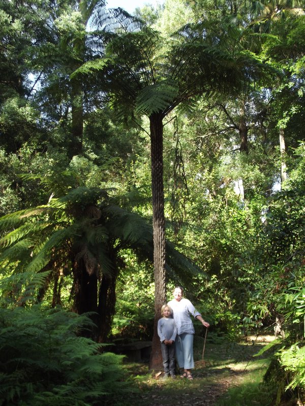 Me, Adam & large fern tree in Croajingolong Nat Park