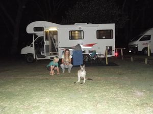 Friendly roos at Durras campsite