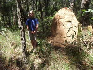 Adam & termite mound