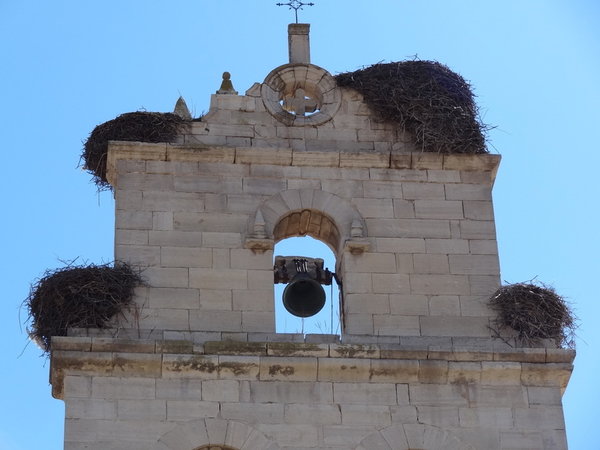storks like to nest on every bell towers