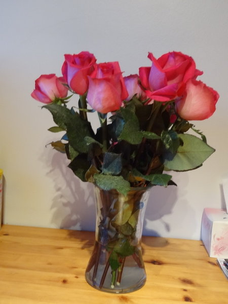 My Mother's Day roses