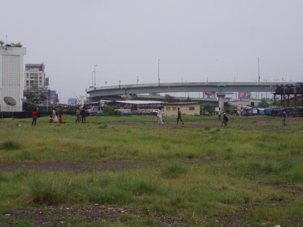 A game of cricket near the motorway