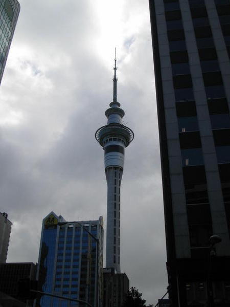 Promised pic of Sky tower in Auckland