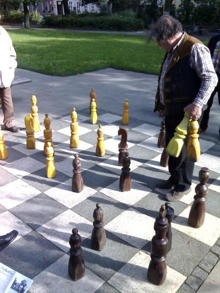 chess player