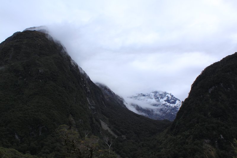 Road to Milford Sound
