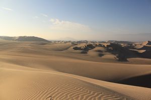 Sand Dune Tour