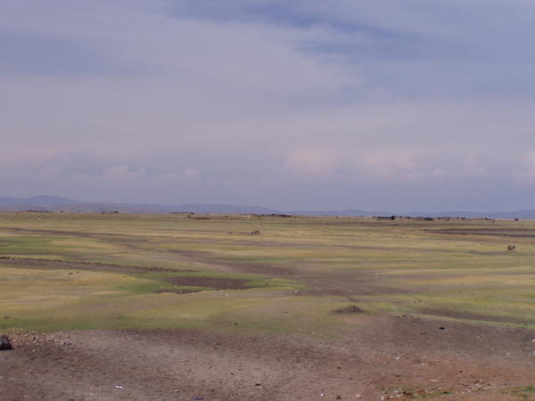 Altiplano ved Puno