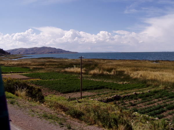 Landbrug ved Titicaca søen