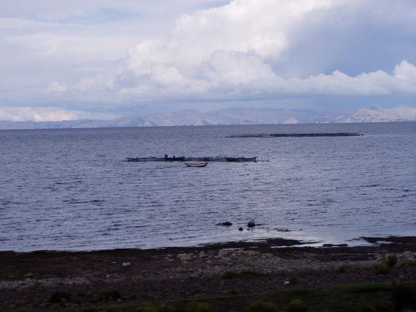 Titicaca søen