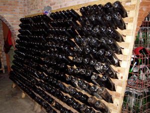 Vinkælder på en vingård i Mendoza