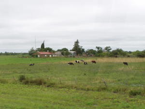 Landbrug mellem Parana og Colon