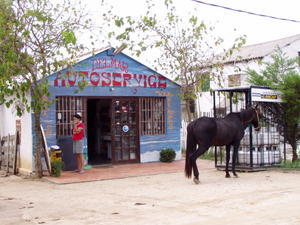 Hest parkeret foran supermarkedet i Valizas.