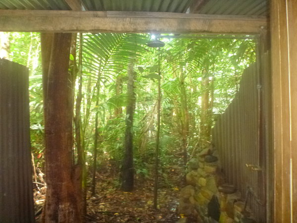 Rainforest shower!