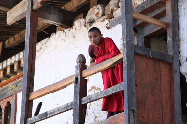 A visit to the Dzongs