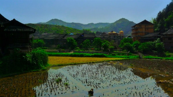 Dong Village  