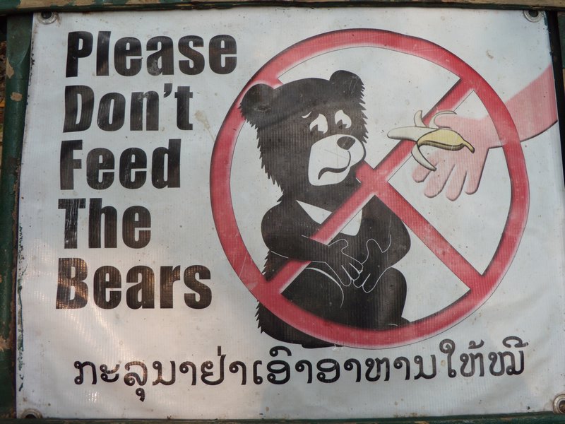 Don't Feed the Bears