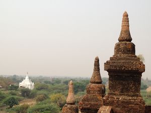 Bagan 11