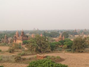 Bagan 14