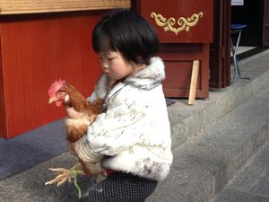 Girl and her chicken 2