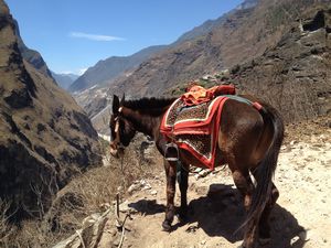 Tiger Leaping Gorge 5