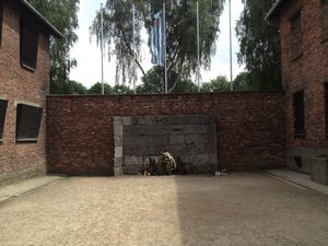 Auschwitz - Shooting Execution spot