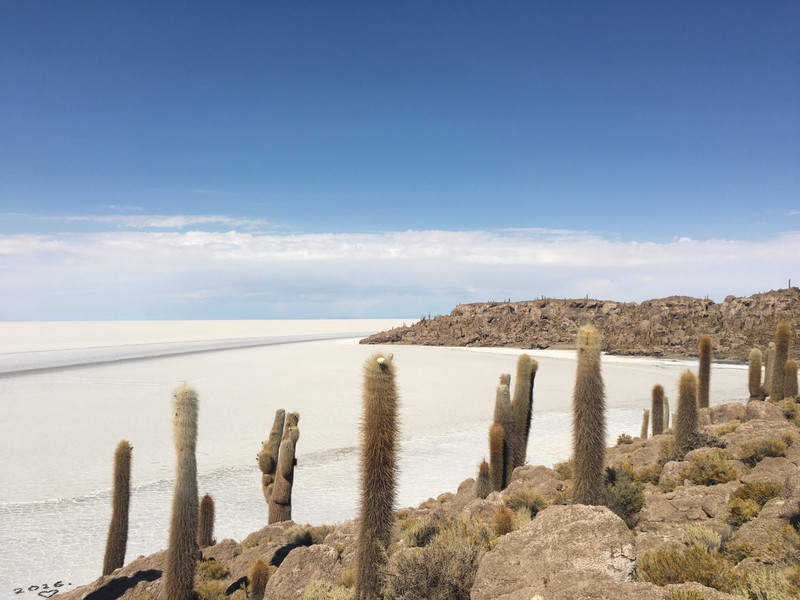 Salt Desert Overview